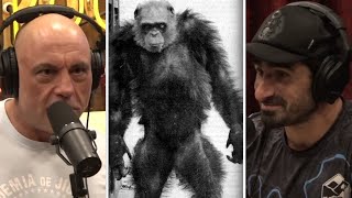 The Bondo Ape Mystery  Joe Rogan amp Paul Rosolie [upl. by Ennaitsirk987]