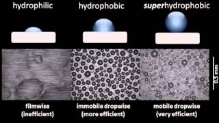 Comparison of condensation on hydrophilic hydrophobic and superhydrophobic surfaces [upl. by Desi]