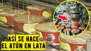 Cómo Se Hace el ATÚN en LATA  Proceso en Fábrica [upl. by Bierman589]