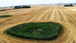 Research at the Quillow Agricultural Landscape Laboratory [upl. by Paxon767]