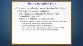 Transport of Water in the Xylem of Plants Part 3 The TranspirationTensionCohesion Hypothesis [upl. by Elades790]