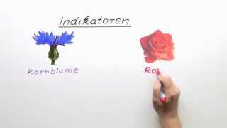 Die Indikatoren  Chemie  Allgemeine und anorganische Chemie [upl. by Bendick]