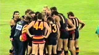 1991 AFL  ROUND 1  ADELAIDE CROWS V HAWTHORN [upl. by Geehan]