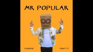 Fight It  Mr Popular [upl. by Rafi]