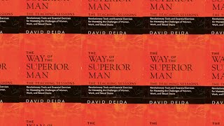 Way of the Superior Man by David Deida  Free Full Length Audiobook [upl. by Haonam]