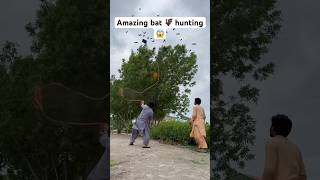 Amazing bat hunting 🦇😱 farming hunting entertainment shorts viralshorts youtubeshorts [upl. by Fi]