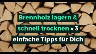 Brennholz lagern amp schnell trocknen » 3 einfache Tipps für Dich [upl. by Akinohs127]