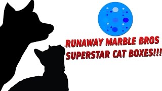 CAT GAMES  RUNAWAY MARBLE BROS SUPERSTAR CAT BOXES FOR CATS ONLY AND DOGS TOO [upl. by Olenka536]