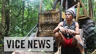 Illegal Loggers The Tribe Waging War in the Amazon [upl. by Adnilec]