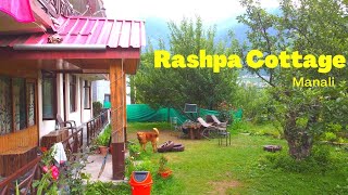 Fun in Rashpa Cottage Manali Best Long Stay in Manali  Workation in Manali  Work from Mountains [upl. by Gurolinick755]