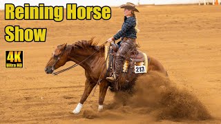 AZ Reining Horse Assoc AZRHA Inside Slide  Reining Horse Show [upl. by Naneik]