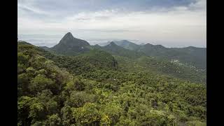 Hike the Tijuca Forest [upl. by Lettie]