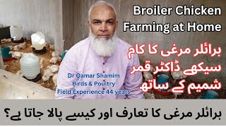 Broiler Chicken Farming At Home In Karachi by Dr Qamar Shamin Field Experience 44 Years [upl. by Oram390]