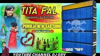 TITA FOL তিতা ফল SHIKARI TANIYA NEW SAD SONG 2024 [upl. by Aeht]