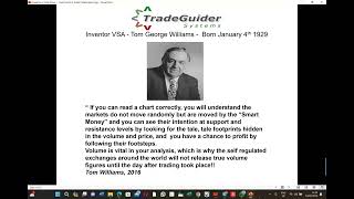 Wyckoff Williams VSA Strategy Explained [upl. by Thursby324]