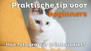 Hoe fotografeer je je HUISDIER  Praktische tip voor BEGINNERS  Zoomnl Fotografie Tips [upl. by Oirretno]