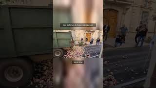 🚜 🇫🇷 Navets infestés devant la souspréfecture de Carpentras JA FDSEA 29102024  MonCarnivore 🥩 [upl. by Dougy]