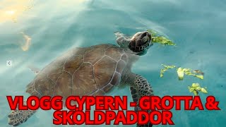 RESEVLOGG CYPERN  GROTTA amp SKÖLDPADDOR 🐢🏖🌴 [upl. by Rosanne]