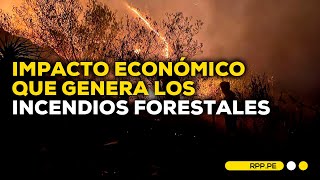 Impacto económico provocado por los incendios forestales en el Perú ROTATIVARPP  SEGMENTO [upl. by Krauss]