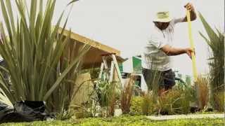 Ellerslie International Flower Show 2012  Transitions from Landcare Research [upl. by Reichel]