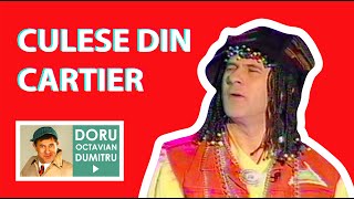 CULESE DIN CARTIER  Doru Octavian Dumitru Official [upl. by Alta]