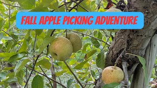 Fall Apple Picking in Crozet VA  Fall Adventure in Virginia [upl. by Longfellow561]