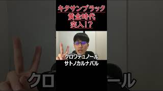 クロワデュノールは序章に過ぎない！？キタサンブラックは種牡馬として黄金時代に突入する！？【POG2425】shorts [upl. by Rosemare]