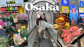 Osaka Vlog  Dotonbori Umeda Universal Studios BEST food 2024 🍣 [upl. by Ahrat]