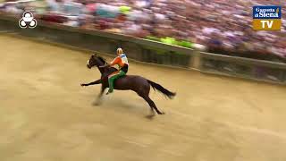 Palio di Siena 2 luglio 2023  Selva [upl. by Ardena]