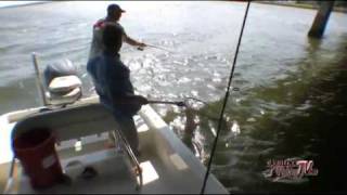 Carolina Fishing TV Swansboro Sheepshead Part I [upl. by Tezzil66]