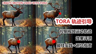 tora轨迹引导模型，控制视频主体的运动轨迹Precise A motion Video with Toracogvideox [upl. by Quenby514]