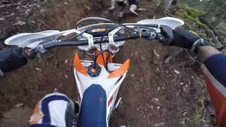 Riding single track in Mill Bay Vancouver Island [upl. by Cirdet]