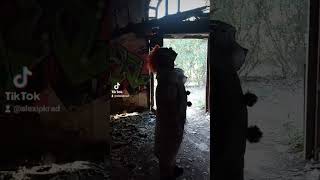 ¡Visité un balneario abandonado y un PAYASO ME PERSIGUIÓ 🎥😱  Alex IPKRAD youtubeshorts shorts [upl. by Oirotciv929]