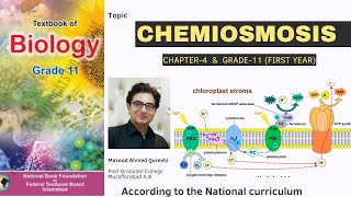 Chemiosmosis amp Synthesis of ATP  Biology  Grade 11 Federal Board Pakistan 2024 [upl. by Ambrosi875]