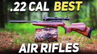 Top 10 Best 22 Cal Air Rifles In the World2022 [upl. by Narba564]