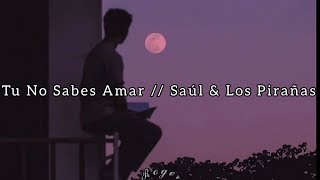 Tu No Sabes Amar  Saúl amp Los Pirañas  Lyrics [upl. by Aleehs]