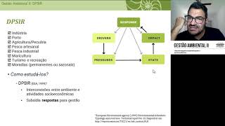 2 DPSIR [upl. by Terrej]
