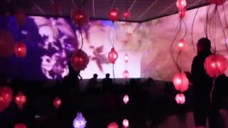 PIPILOTTI RIST im Kunsthaus Zürich 2016 impressionen [upl. by Eibo]