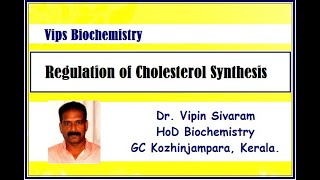 Regulation of Cholesterol synthesis [upl. by Saxela]