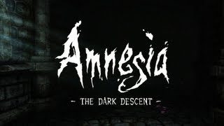 Amnesia All Diaries and Flashbacks [upl. by Zolly]