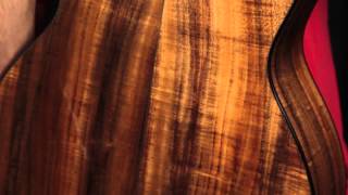 Koa  Acoustic Guitar Tonewood Guide [upl. by Aliban414]