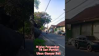 TB Sari Pertiwi Jalan Raya Pengosekan Ubud Gianyar Bali [upl. by Mauri]