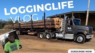 Logging life with Big E a day in the life of a Logtruck driver [upl. by Primaveras]