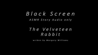 ASMR READING  THE VELVETEEN RABBIT [upl. by Refitsirhc]