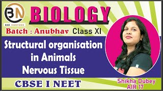 STRUCTURAL ORGANISATION IN ANIMALSNERVOUS TISSUE CLASS XI BIOLOGY NEET 2025 ANUBHAV BATCH [upl. by Odlanyar150]