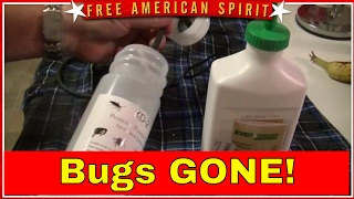 Insect Destroyer Kill Bedbugs Yellow jackets fleas ticks bees etc [upl. by Anegroeg]