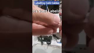 How To Label Cat6 Cables [upl. by Aidnis]