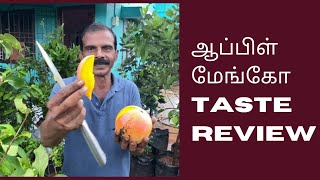 R2 E2 Mango  Apple Mango Taste  Jumbo Red Mango Taste Review  Why is it Called apple mango [upl. by Ayhtak]