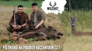 2 Polowanie na Pogórzu Kaczawskim CZI  Wild Boar amp Roe Buck Hunting in Poland [upl. by Nord881]