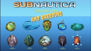 SUBNAUTICA ALL EGGS [upl. by Acemahs]